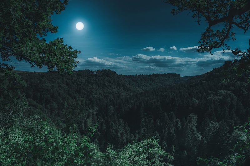 Moonlight